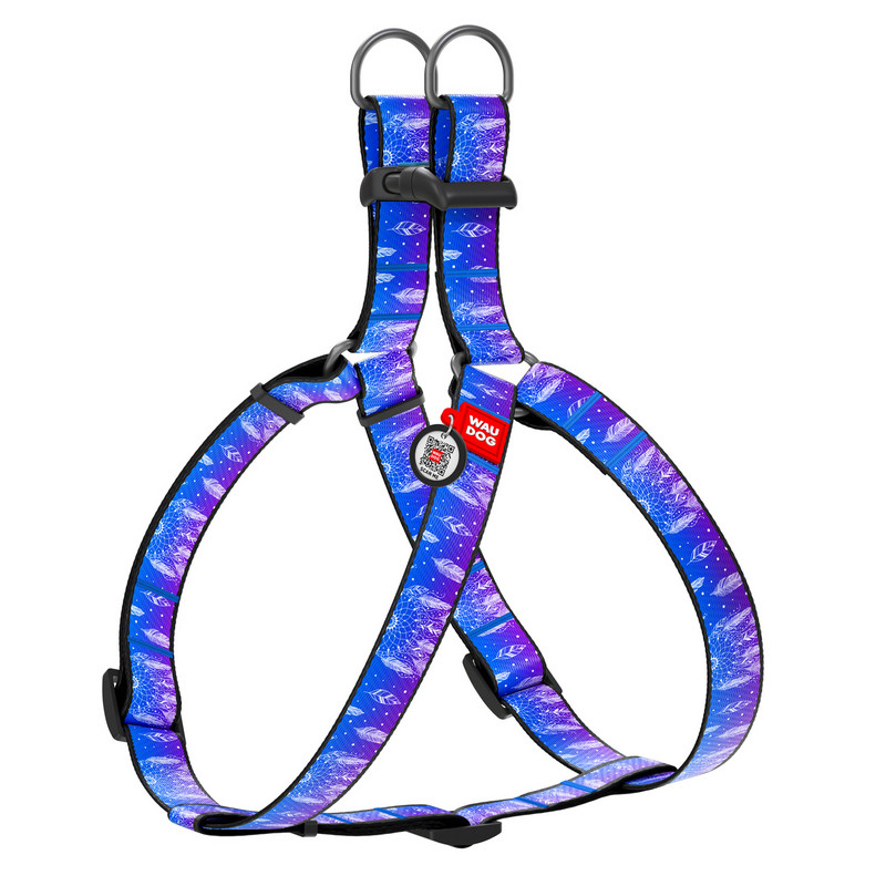 Шлея WAUDOG Nylon Ловец снов нейлон разноцветный с QR паспортом 4953 (4823089317915)
Шлея WAUDOG Nylon Ловец снов нейлон разноцветный с QR паспортом 4953 (4823089317915)