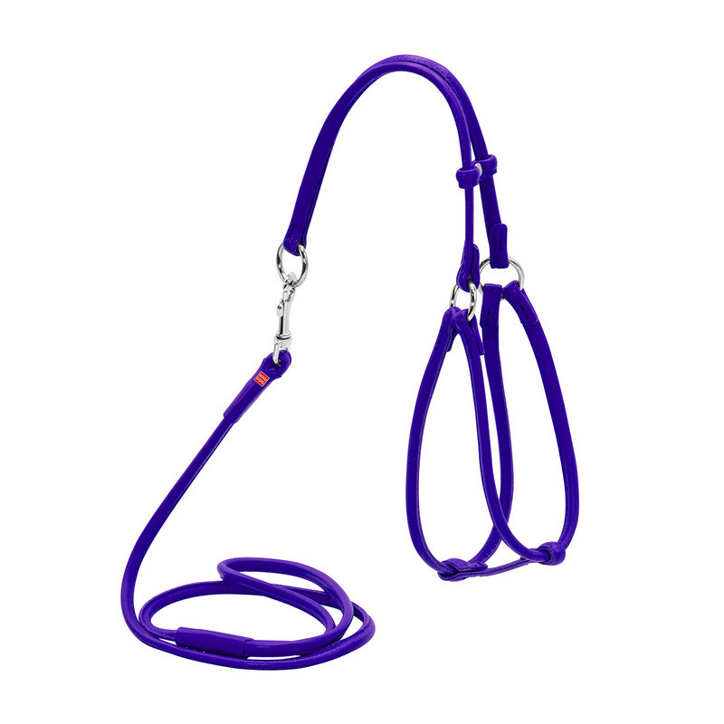 Шлея круглая WAUDOG Glamour кожа фиолетовый с поводком для кошек и мелких собак 34019 (4820152566010)
Шлея круглая WAUDOG Glamour кожа фиолетовый с поводком для кошек и мелких собак 34019 (4820152566010)