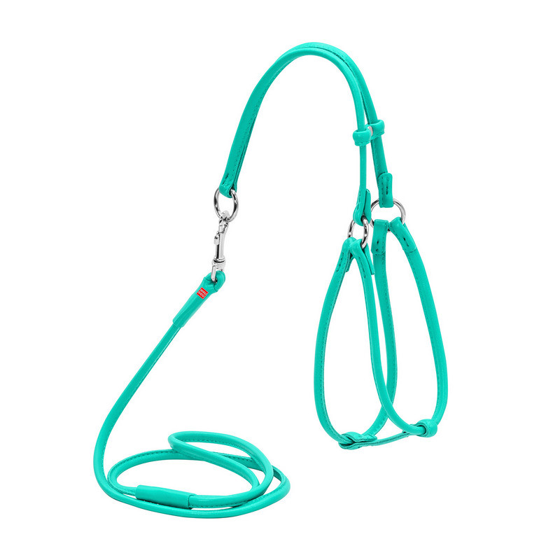 Шлея круглая WAUDOG Glamour кожа ментоловый с поводком для кошек и мелких собак 340213 (2034021300007)
Шлея круглая WAUDOG Glamour кожа ментоловый с поводком для кошек и мелких собак 340213 (2034021300007)