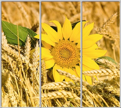 Шкаф купе Luxe Studio Стандарт-1 Фотопечать Природа-153 2200x2200x450 трехдверный
Шкаф купе Luxe Studio Стандарт-1 Фотопечать Природа-153 2200x2200x450 трехдверный