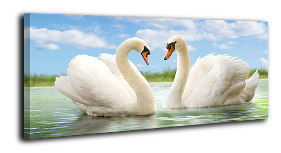 Картина на холсте YS-Art 50х100см 
Картина на холсте YS-Art 50х100см