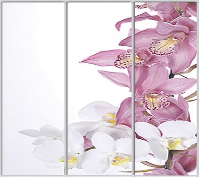 Шкаф купе Luxe Studio Стандарт-1 Фотопечать Природа-186 2200x2200x600 трехдверный
Шкаф купе Luxe Studio Стандарт-1 Фотопечать Природа-186 2200x2200x600 трехдверный