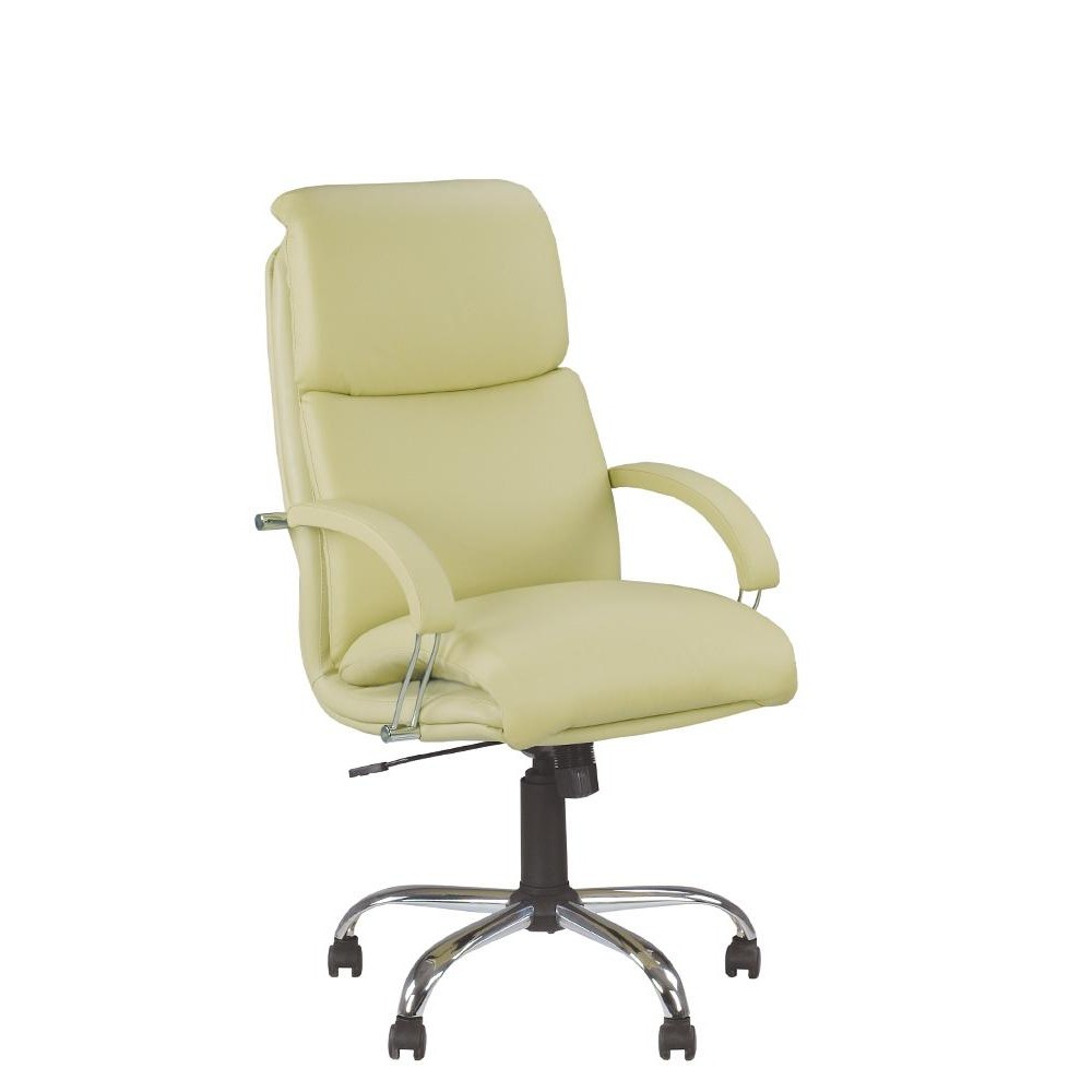 Офисное кресло для кабинета NADIR steel Tilt CHR68 механизм Tilt, хромированная база, подлокотники с обитыми накладками, обивка экокожа ECO-45 Новый стиль Зеленый
Офисное кресло для кабинета NADIR steel Tilt CHR68 механизм Tilt, хромированная база, подлокотники с обитыми накладками, обивка экокожа ECO-45 Новый стиль Зеленый