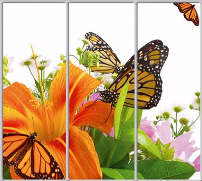 Шкаф купе Luxe Studio Стандарт-1 Фотопечать Природа-52 2300x2100x600 трехдверный
Шкаф купе Luxe Studio Стандарт-1 Фотопечать Природа-52 2300x2100x600 трехдверный