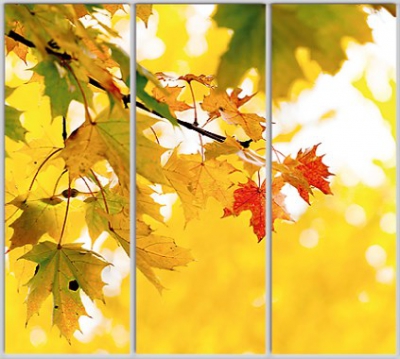 Шкаф купе Luxe Studio Стандарт-1 Фотопечать Природа-201 2300x2100x600 трехдверный
Шкаф купе Luxe Studio Стандарт-1 Фотопечать Природа-201 2300x2100x600 трехдверный