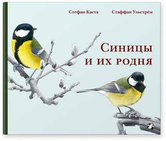 Синицы и их родня - Стефан Каста, Стаффан Ульстрём Белая Ворона 52 стр. 000066489
Синицы и их родня - Стефан Каста, Стаффан Ульстрём Белая Ворона 52 стр. 000066489