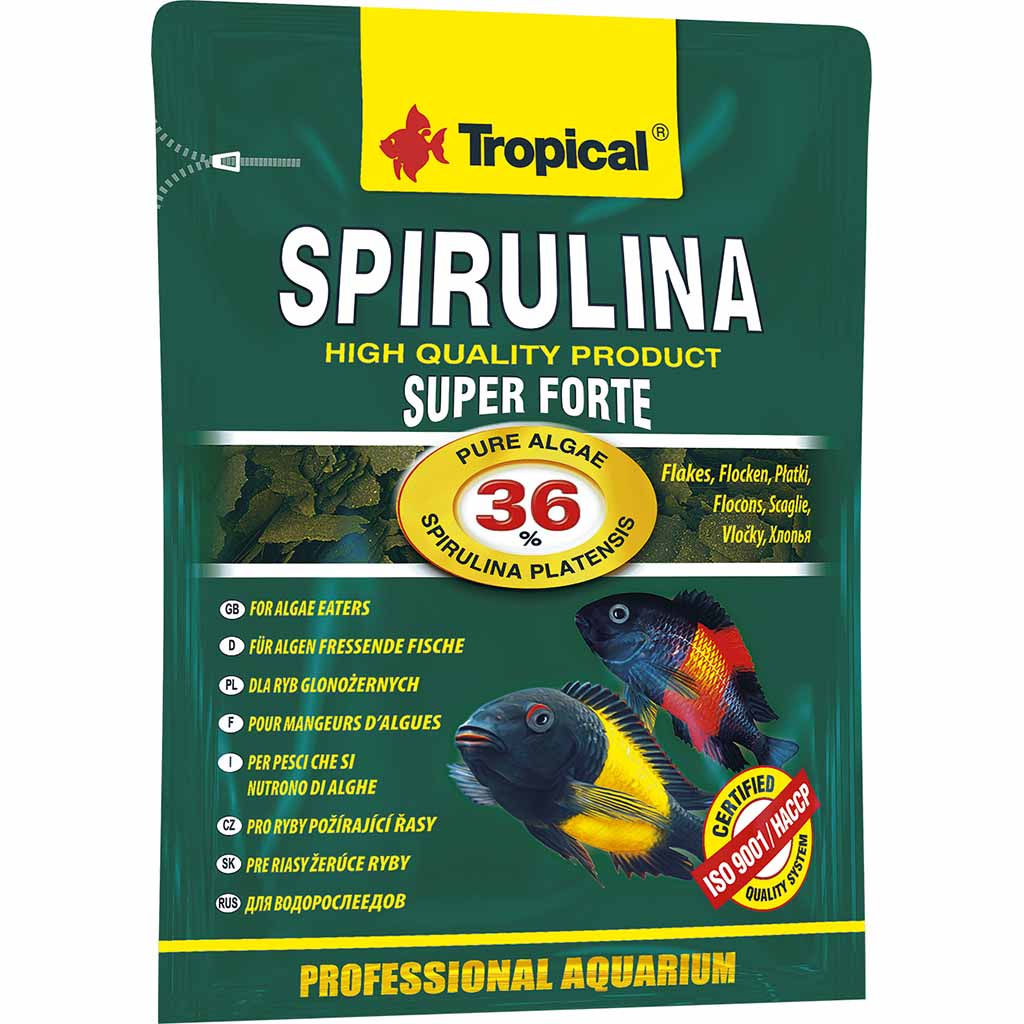 Сухой корм для травоядных рыб в хлопьях Super Spirulina Forte GRAN TROPICAL 550 г Tropical BGL-TL-90
Сухой корм для травоядных рыб в хлопьях Super Spirulina Forte GRAN TROPICAL 550 г Tropical BGL-TL-90