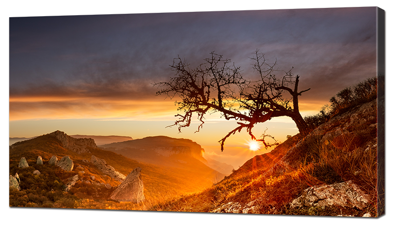 Картина Interno Эко кожа Дерево на склоне 70х40см
Картина Interno Эко кожа Дерево на склоне 70х40см