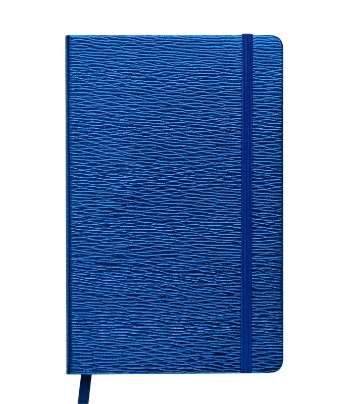 Записная книга блокнот Buromax INGOT 125x195 мм 80 л клетка иск.кожа синий (BM.29912103-02)
Записная книга блокнот Buromax INGOT 125x195 мм 80 л клетка иск.кожа синий (BM.29912103-02)