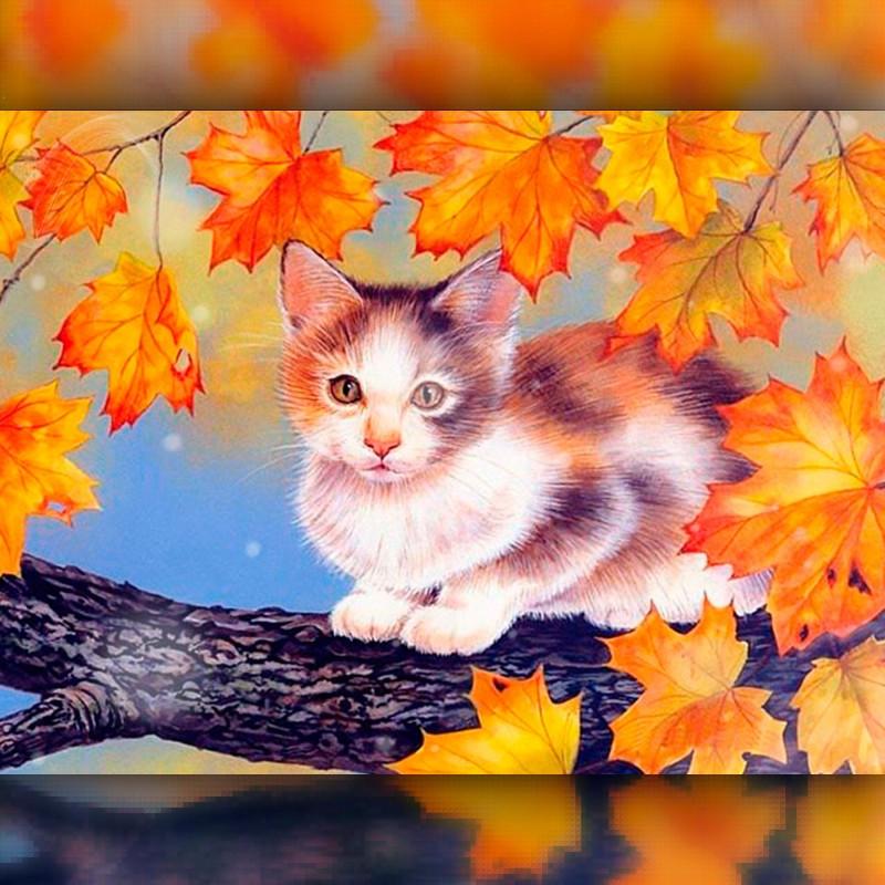 Алмазная вышивка мозаика The Wortex Diamonds Котик на дереве 40x50см TWD20025L полная зашивка квадратные стразы. Набор алмазной вышивки
Алмазная вышивка мозаика The Wortex Diamonds Котик на дереве 40x50см TWD20025L полная зашивка квадратные стразы. Набор алмазной вышивки