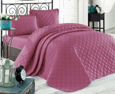 Покрывало стеганное хлопковое с наволочками Aran Aran Clasy 240x260 Rabel V7 Сливовый (SKL53-276777)
Покрывало стеганное хлопковое с наволочками Aran Aran Clasy 240x260 Rabel V7 Сливовый (SKL53-276777)