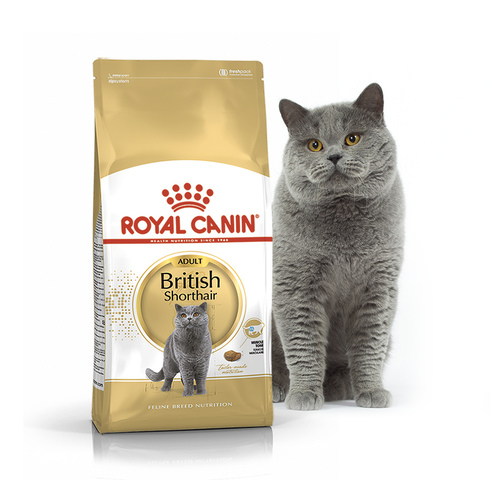 Сухой корм для кошек породы британская короткошерстная Royal Canin BRITISH SHORTHAIR ADULT для взрослых котов от 12 мес. (4 кг)
Сухой корм для кошек породы британская короткошерстная Royal Canin BRITISH SHORTHAIR ADULT для взрослых котов от 12 мес. (4 кг)