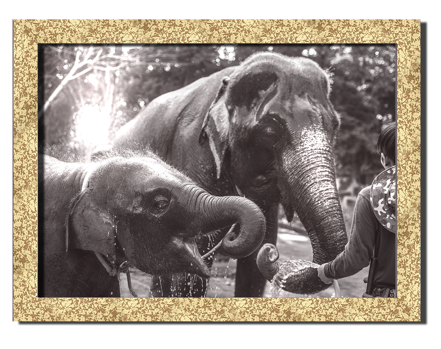 Golden frame картина на файн-арт бумаге слоны и погонщик восточная природа Hotel Arizona HD 31 см x 41 см
Golden frame картина на файн-арт бумаге слоны и погонщик восточная природа Hotel Arizona HD 31 см x 41 см