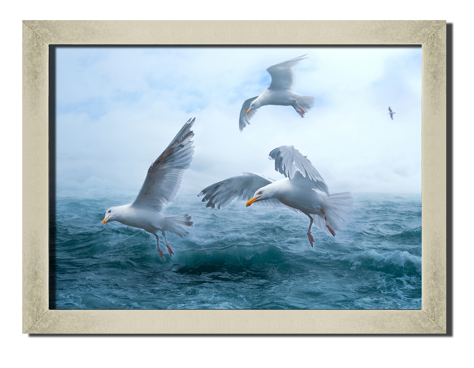 Silver frame картина на файн-арт бумаге чайки над морем природа, пейзаж, море Hotel Arizona HD 31 см x 41 см
Silver frame картина на файн-арт бумаге чайки над морем природа, пейзаж, море Hotel Arizona HD 31 см x 41 см