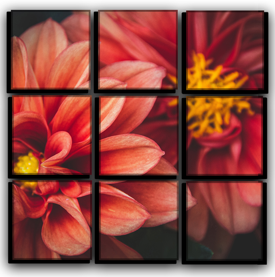 Модульная картина на холсте 9 частей Романтические цветы природа пейзаж ландшафт Hotel Arizona HD 77 см x 77 см
Модульная картина на холсте 9 частей Романтические цветы природа пейзаж ландшафт Hotel Arizona HD 77 см x 77 см