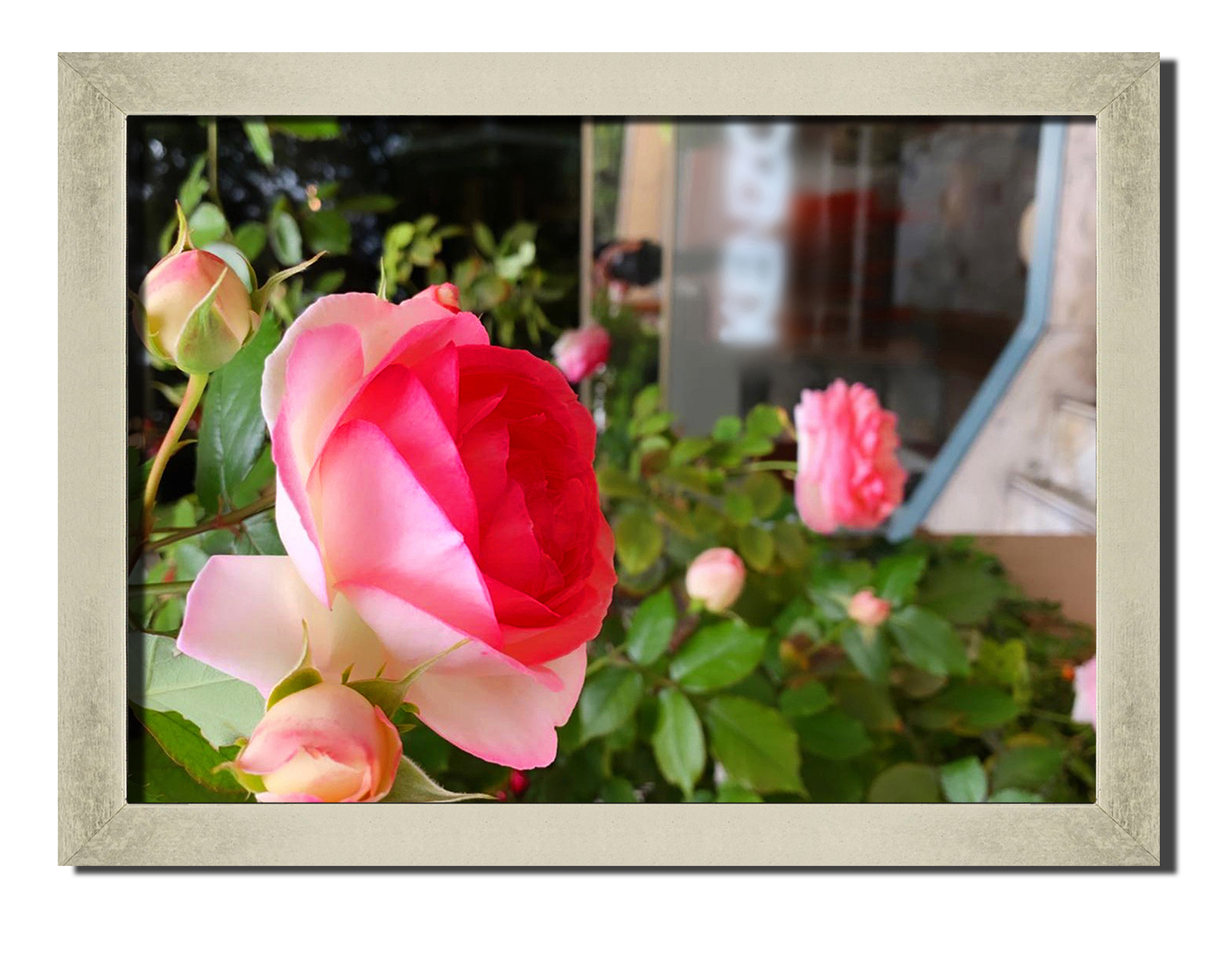 Silver frame картина на файн-арт бумаге Великолепные розы цветы, растения Hotel Arizona HD 31 см x 41 см
Silver frame картина на файн-арт бумаге Великолепные розы цветы, растения Hotel Arizona HD 31 см x 41 см