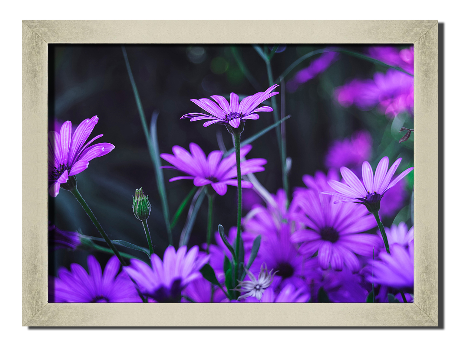 Silver frame картина на файн-арт бумаге Прекрасная Маргарита любовь цветы роматника свиданье Hotel Arizona HD 31 см x 41 см
Silver frame картина на файн-арт бумаге Прекрасная Маргарита любовь цветы роматника свиданье Hotel Arizona HD 31 см x 41 см