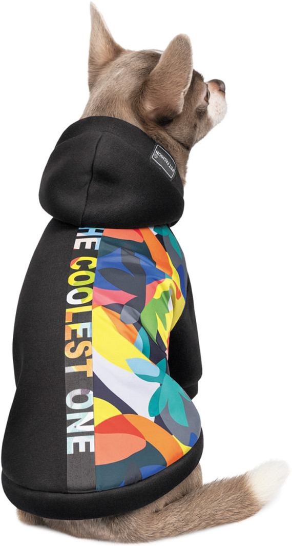 Толстовка Pet Fashion "THE COOLEST" для собак размер S, Многоцветная (4823082420346)
Толстовка Pet Fashion "THE COOLEST" для собак размер S, Многоцветная (4823082420346)