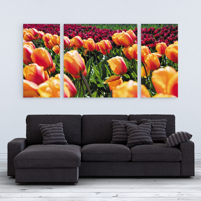 Модульная картина GUS "Цветы, Тюльпаны #59" 210x100см (XB054 - Модульные картины)
Модульная картина GUS "Цветы, Тюльпаны #59" 210x100см (XB054 - Модульные картины)