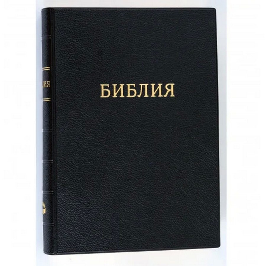 Біблія чорна в м'якій обкладинці вінілова з золотим зрізом (пошукові індекси) 170х240 (чорна)
Біблія чорна в м'якій обкладинці вінілова з золотим зрізом (пошукові індекси) 170х240 (чорна)