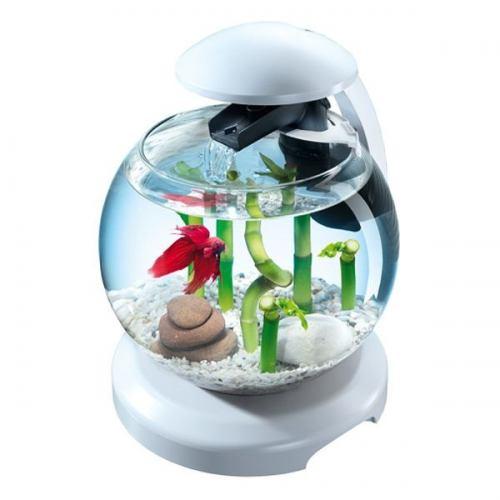 Аквариумный набор Tetra Cascade Globe для петушка и золотой рыбки, круглый (6,8 л) белый
Аквариумный набор Tetra Cascade Globe для петушка и золотой рыбки, круглый (6,8 л) белый