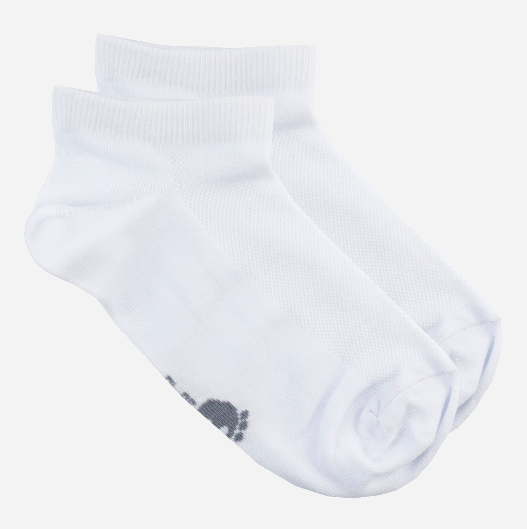 Носки Lapas короткие 1P-222-WHT - Белые, Носки Lapas короткие 1P-222-WHT 41-43 Белые
Носки Lapas короткие 1P-222-WHT - Белые, Носки Lapas короткие 1P-222-WHT 41-43 Белые