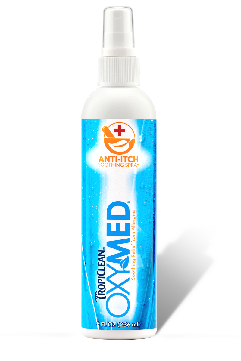 Успокаивающий спрей Тропиклин для проблемной кожи собак и кошек Tropiclean Oxy Med Anti Itch Spray 236 мл
Успокаивающий спрей Тропиклин для проблемной кожи собак и кошек Tropiclean Oxy Med Anti Itch Spray 236 мл