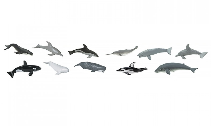 Набор фигурок Киты и дельфины Safari Ltd Whales & Dolphins 11 штук методика Монтессори (6991094021)
Набор фигурок Киты и дельфины Safari Ltd Whales & Dolphins 11 штук методика Монтессори (6991094021)