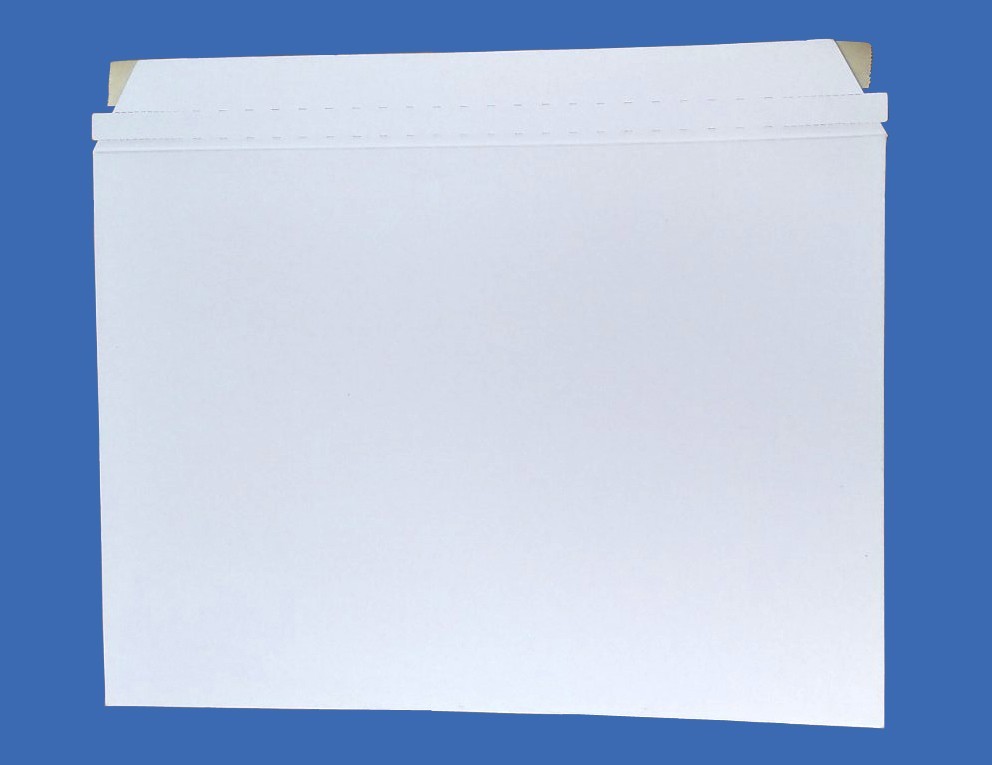 InterDot Картонный, 310 г / м 2., С4++, Премиум, 200 шт., Белый., (350 x 250мм), без печати, без кармана (docufix)
InterDot Картонный, 310 г / м 2., С4++, Премиум, 200 шт., Белый., (350 x 250мм), без печати, без кармана (docufix)