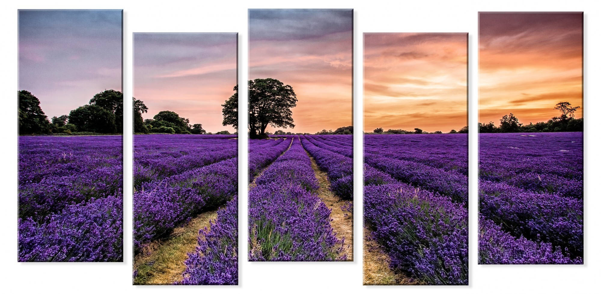 Модульная картина SvitArt M5 FV-356 60х123 см 5 частeй
Модульная картина SvitArt M5 FV-356 60х123 см 5 частeй