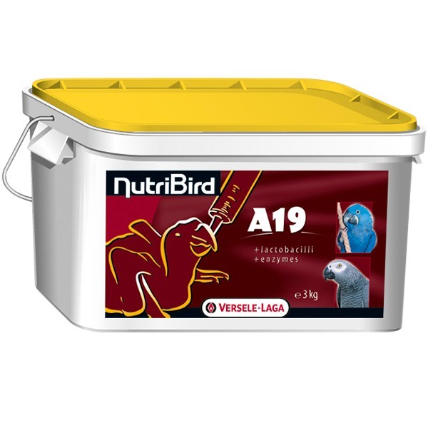 Корм Versele-Laga NutriBird A19 молоко для птенцов больших попугаев 3 кг (5410340220146)
Корм Versele-Laga NutriBird A19 молоко для птенцов больших попугаев 3 кг (5410340220146)