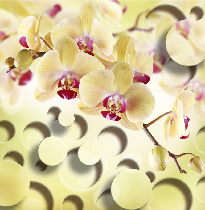 

Фотообои 3D '3d орхидеи' (2541) , Штукатурка