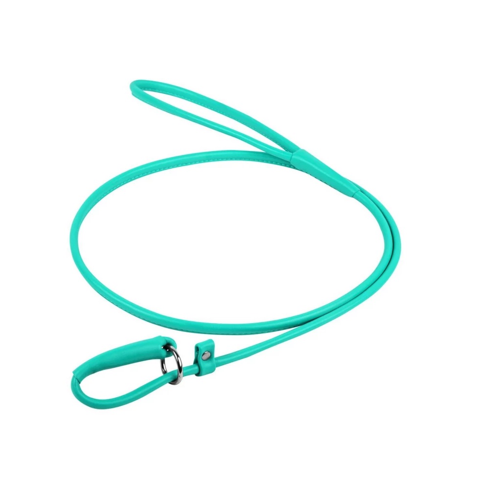 Поводок-удавка для собак из натуральной кожи круглый Collar Waudog Glamour 8 мм/183 см, ментоловый
Поводок-удавка для собак из натуральной кожи круглый Collar Waudog Glamour 8 мм/183 см, ментоловый