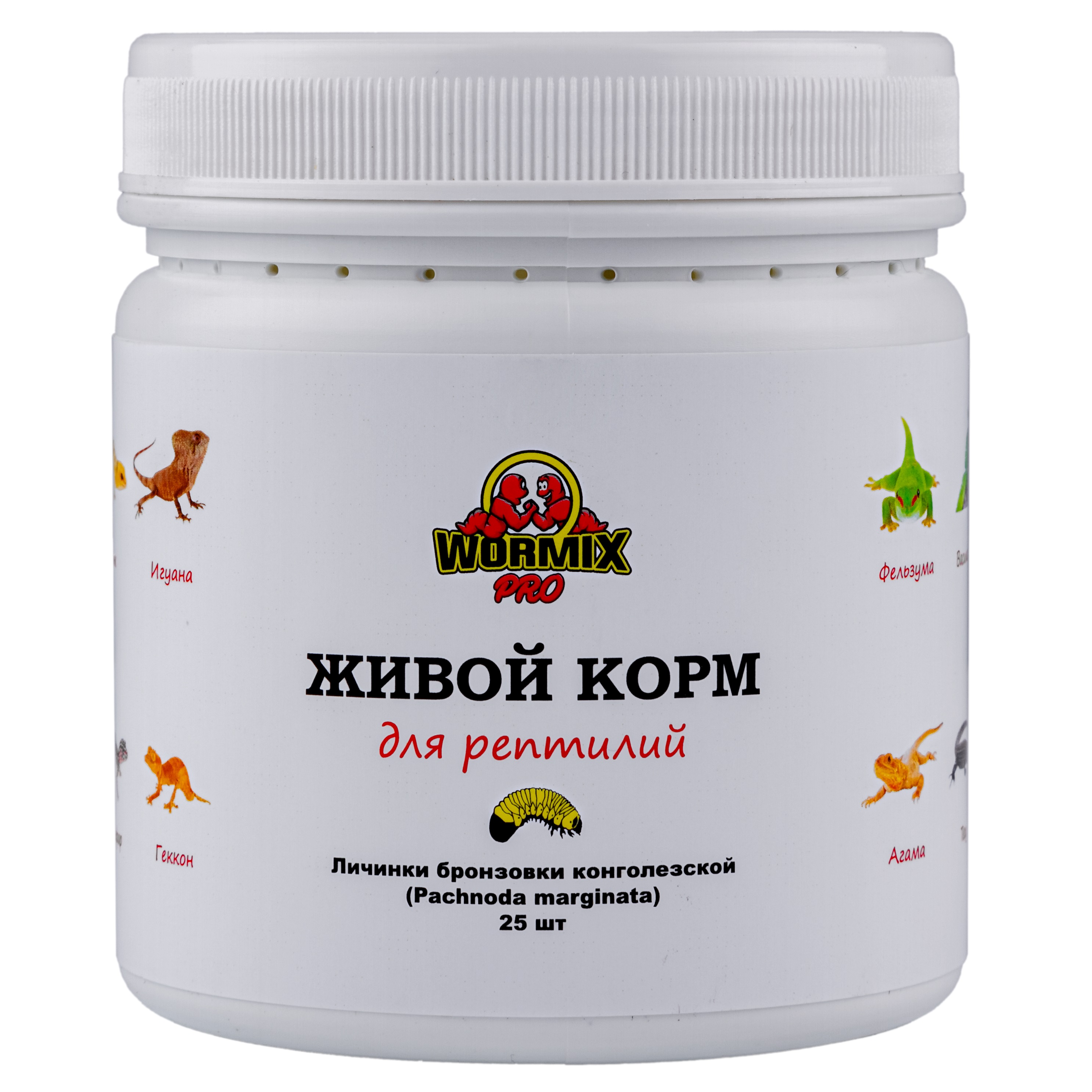 Живой корм для рептилий – Бронзовка конголезская (Pachnoda marginata) 25 шт. Ладья-2
Живой корм для рептилий – Бронзовка конголезская (Pachnoda marginata) 25 шт. Ладья-2