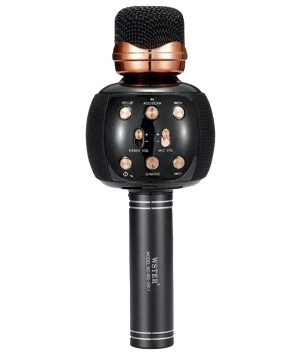 Микрофон караоке WSTER WS-2911 Черный - Беспроводной караоке микрофон с динамиком, детский микрофон с колонкой
Микрофон караоке WSTER WS-2911 Черный - Беспроводной караоке микрофон с динамиком, детский микрофон с колонкой