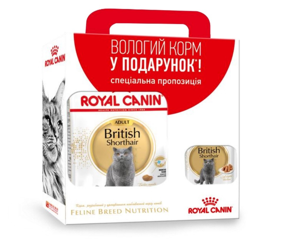 Набор сухой корм Royal Canin British Shorthair для кошек породы Британская короткошерстная 2 кг + 3 пауча*85 г
Набор сухой корм Royal Canin British Shorthair для кошек породы Британская короткошерстная 2 кг + 3 пауча*85 г