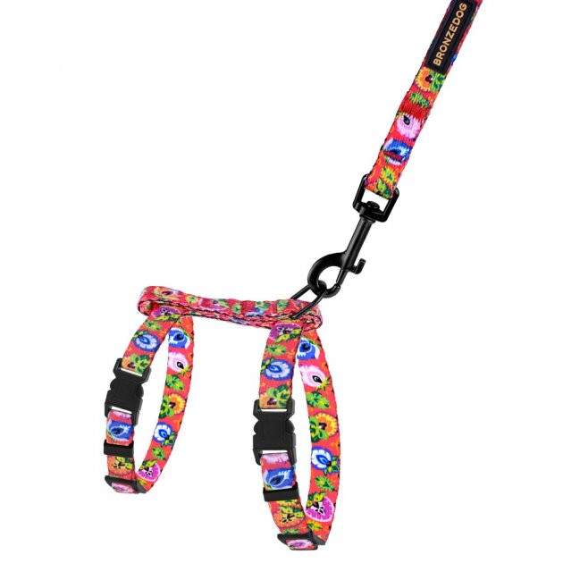 Шлея з Повідцем для Котів та Дрібних Собак BronzeDog Urban Folk Коралова, 2XS (57/1416)
Шлея з Повідцем для Котів та Дрібних Собак BronzeDog Urban Folk Коралова, 2XS (57/1416)