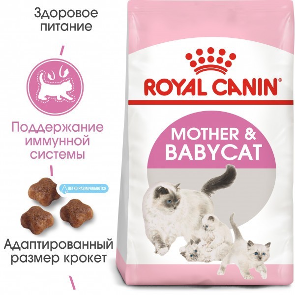 Сухой корм для котят 1-4 месяцев и для кошек при беременности и лактации Royal Canin mother&babycat 4 кг 2544040
Сухой корм для котят 1-4 месяцев и для кошек при беременности и лактации Royal Canin mother&babycat 4 кг 2544040