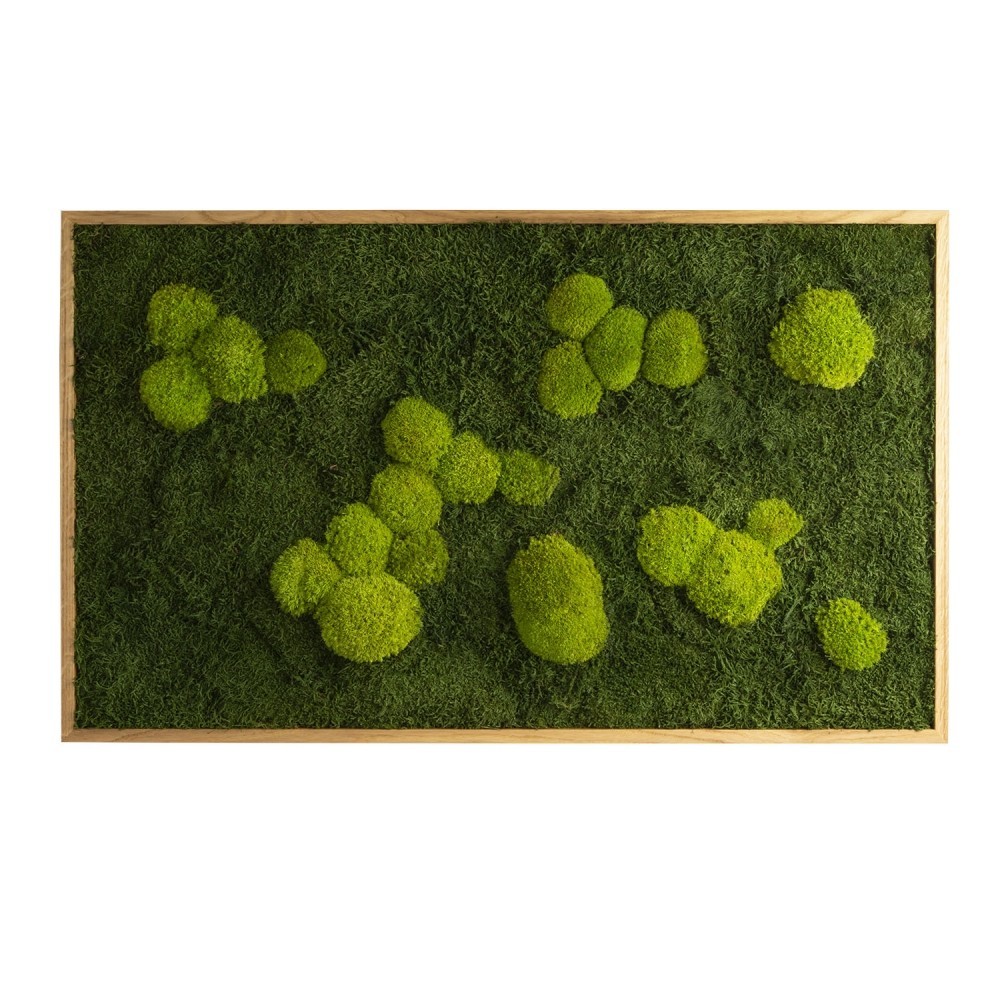 Картина SmartBotanica из стабилизированного мха 100*60 см в светло-коричневой деревянной рамке
Картина SmartBotanica из стабилизированного мха 100*60 см в светло-коричневой деревянной рамке