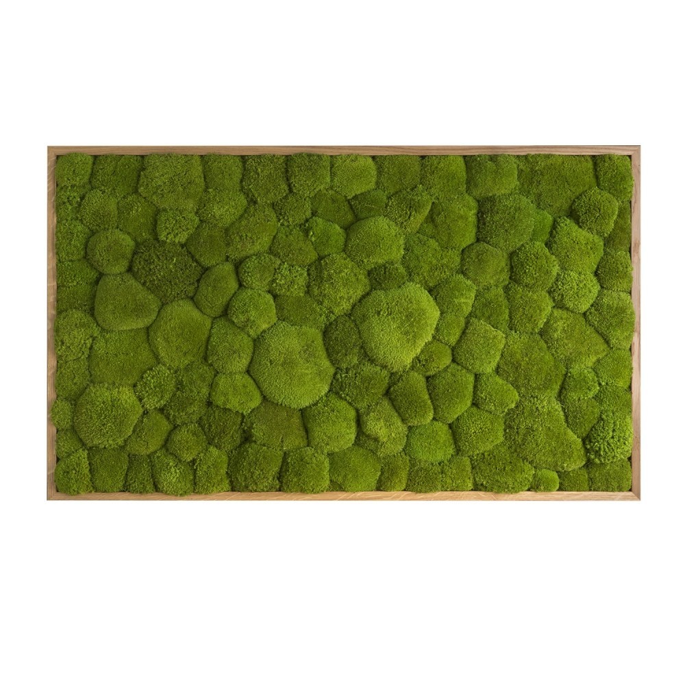 Картина SmartBotanica из стабилизированного кочкового мха 100*60 см в светло-коричневой деревянной рамке
Картина SmartBotanica из стабилизированного кочкового мха 100*60 см в светло-коричневой деревянной рамке