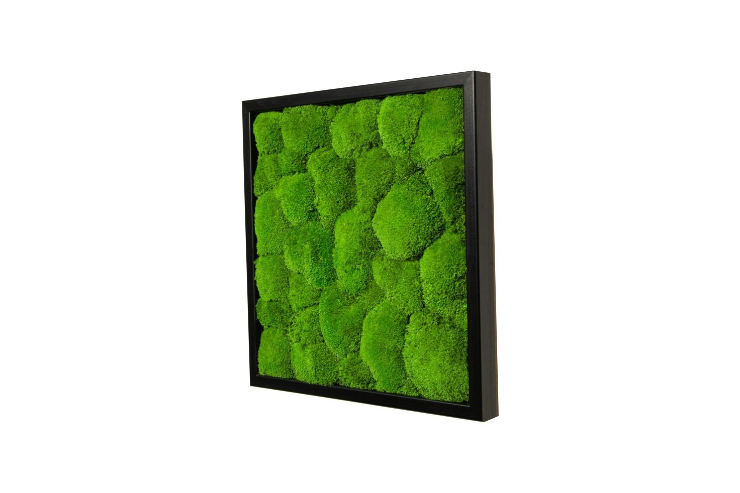 Картина SmartBotanica со стабилизированным мхом 80*80 см в черной деревянной рамке
Картина SmartBotanica со стабилизированным мхом 80*80 см в черной деревянной рамке