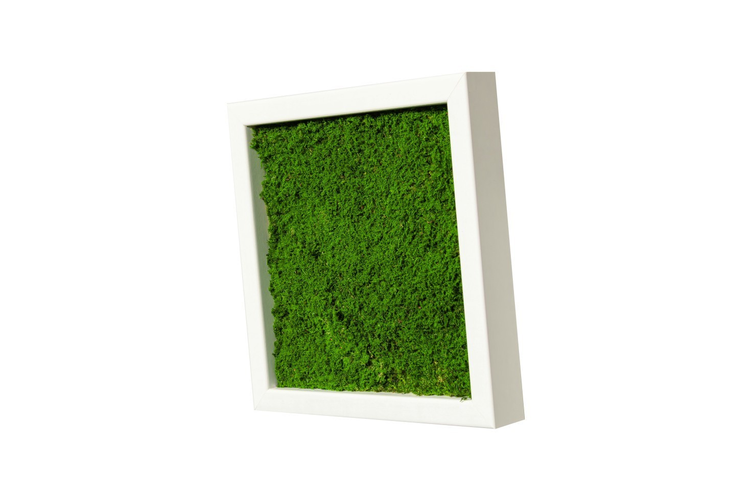 Картина SmartBotanica из стабилизированного Плоского мха 30*30см в белой деревянной рамке
Картина SmartBotanica из стабилизированного Плоского мха 30*30см в белой деревянной рамке