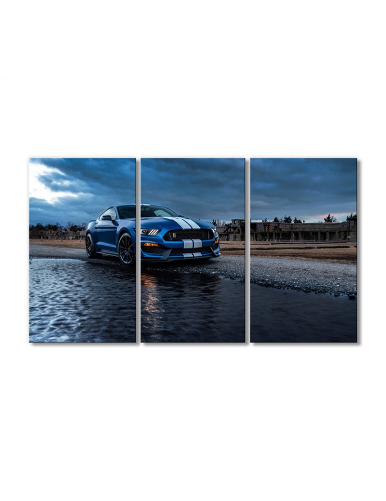 Модульная картина Artel «Автомобиль Форд Мустанг Шелби GT500» 3 модуля 50x75 см
Модульная картина Artel «Автомобиль Форд Мустанг Шелби GT500» 3 модуля 50x75 см