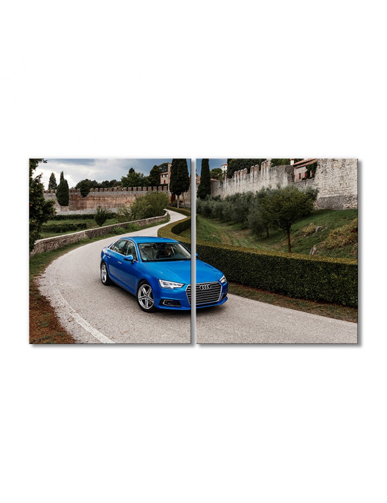Модульная картина Artel «Автомобиль Ауди С6 синяя» 2 модуля 120x180 см
Модульная картина Artel «Автомобиль Ауди С6 синяя» 2 модуля 120x180 см