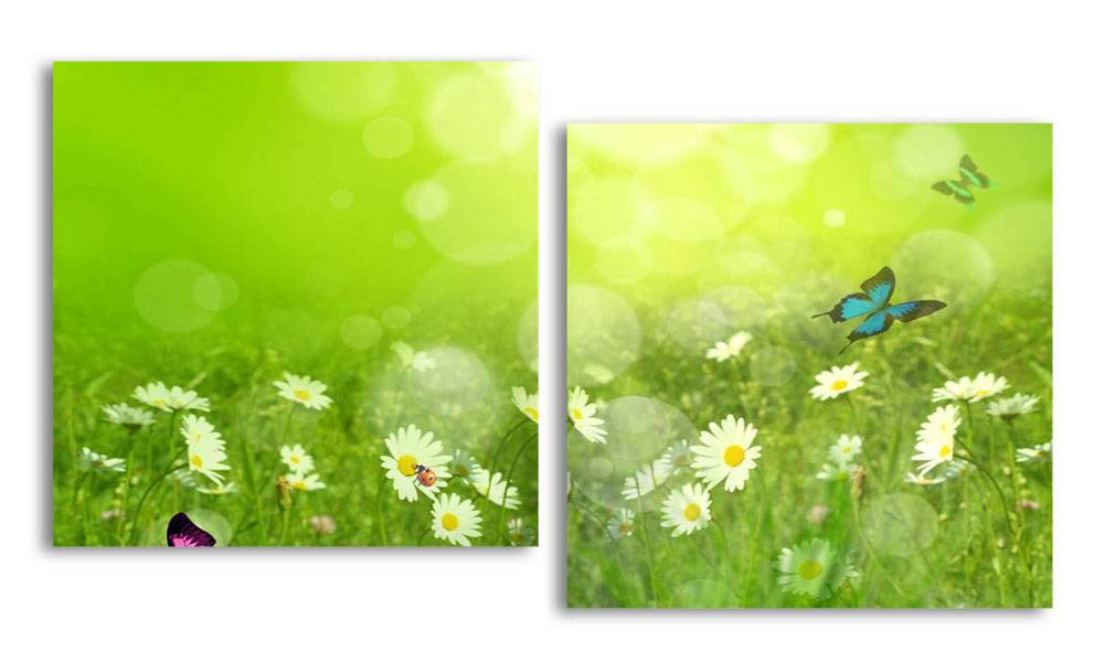 Модульная картина LaPrint Ромашковое поле 150х82 см
Модульная картина LaPrint Ромашковое поле 150х82 см