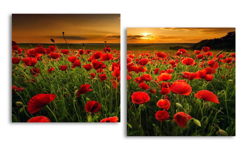 Модульная картина LaPrint Маки на фоне неба 150х82 см
Модульная картина LaPrint Маки на фоне неба 150х82 см