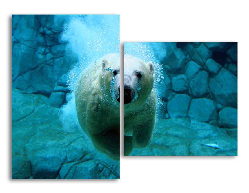 Модульная картина LaPrint Белый медведь 100х73 см 
Модульная картина LaPrint Белый медведь 100х73 см