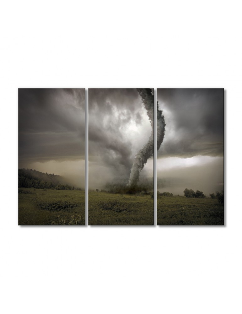 Модульная картина Artel «Атмосферный вихрь над поверхностью земли» 3 модуля 70x105 см
Модульная картина Artel «Атмосферный вихрь над поверхностью земли» 3 модуля 70x105 см