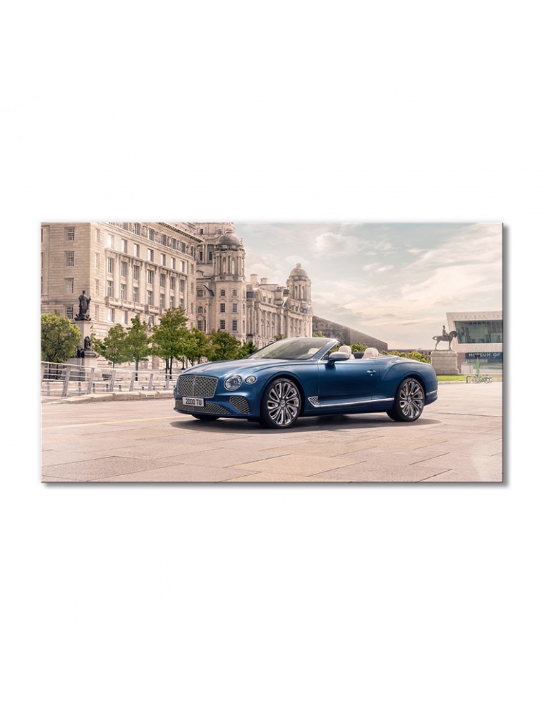 Модульная картина Artel «Бентли Континенталь GT V8» 1 модуль 70x105 см
Модульная картина Artel «Бентли Континенталь GT V8» 1 модуль 70x105 см