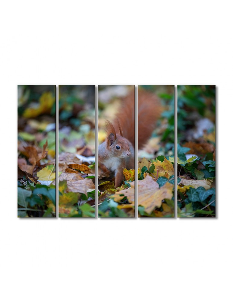 Модульная картина Artel «Белка в осенней листве» 5 модулей 70x105 см
Модульная картина Artel «Белка в осенней листве» 5 модулей 70x105 см